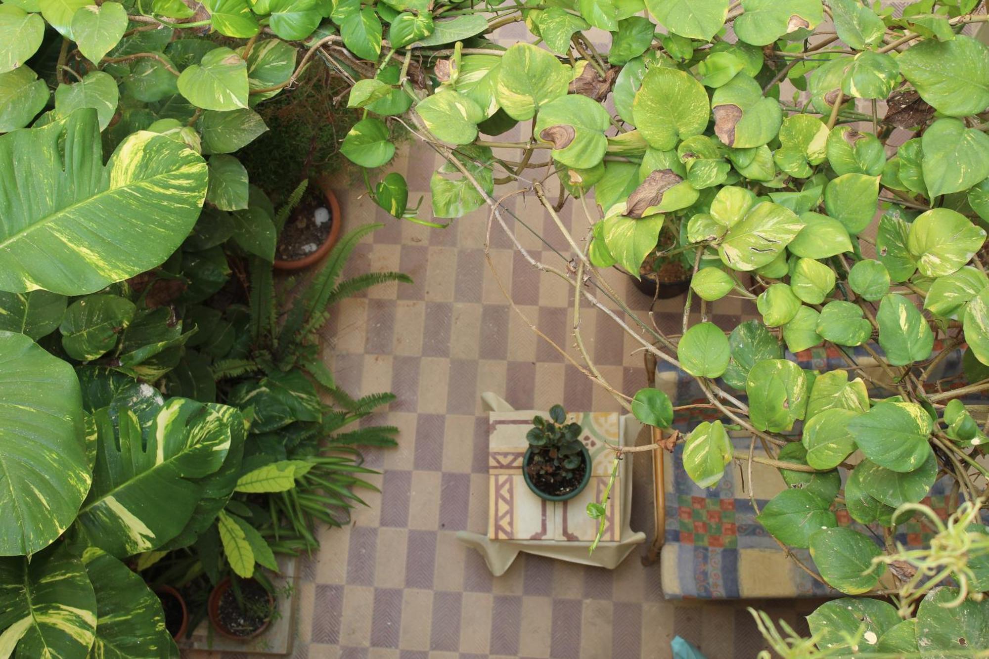Maria Townhouse Heart Of Victoria B&B מראה חיצוני תמונה